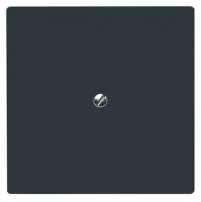 Immagine prodotto di Disco centrale cieco Busch-Jaeger con anello di supporto 2138-35