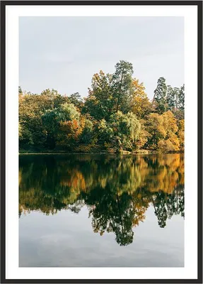 Image de Image, poster dans un cadre 53x73 cm Forêt P2012