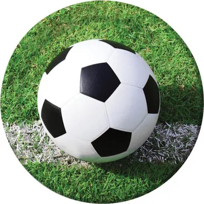 Produktbild von Pappteller Fußball-Design, grüner Rasen mit Torlinie, 23 cm Durchmesser, 8 Stück