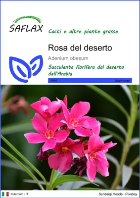 Immagine prodotto di SAFLAX  - Rosa del deserto - 8 semi - Adenium