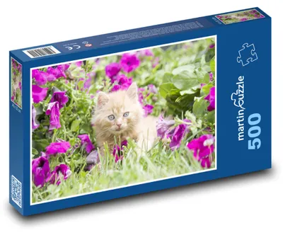 Zdjęcie produktu dla martinpuzzle - Puzzle 500 - Kot - kociak