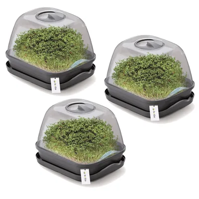 Productafbeelding van Set van 3 mini-kweekkasjes, zaaipotten, plantbakken, antraciet, antraciet, 25,7x18,5 cm. Plantenbakken met deksel, verhoogde bakken, bloempotten, geschikt voor het kweken van groenten, kruiden, zaailingen, voor een groene, stedelijke tuin