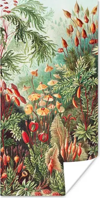 Produktbild von MuchoWow® Poster Blumen - Kunst - Vintage - Natur - Botanisch 60x120 cm - Wandschmuck