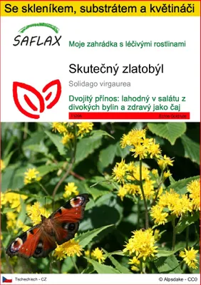Obrázek produktu pro SAFLAX Kultivační sada - Skutečný zlatobýl - Solidago virgaurea - 100 Semena - S mini skleníkem, pěstebním substrátem a 2 květináči
