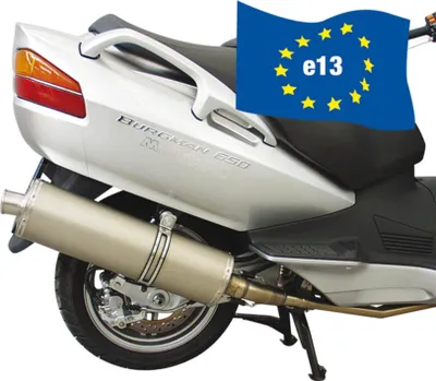 Produktbild von Auspuffanlage Malossi Maxi Wild Lion mit Zulassung für Suzuki Burgman 650i E2 Bj. 2003-04