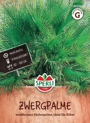 Produktbild von Sperli Palmen Zwergpalme Tropenzauber - Blumensamen