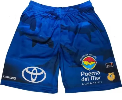 Image de Short Spalding SPALASMUGRCA04AGUA pour Uni