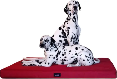 Produktbild von tierlando® Orthopädische Hundematratze ALICE VISCO Hundematte Hundebett S - XXL - Größe: 80x60cm | Farbe: 04 Dunkelrot