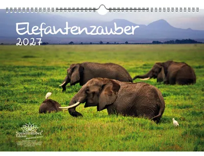 Produktbild von Elefantenzauber DIN A3 Kalender für 2027 Elefanten - Seelenzauber