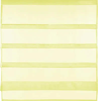 Produktbild von Gardine Raffoptik mit Stangendurchzug, Größe: 100x110cm, Farbe: Gelb