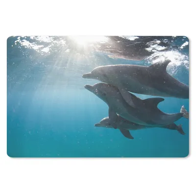 Produktbild von MuchoWow® Schreibtischunterlage Drei Delphine unter der Wasseroberfläche 60x40 cm - XXL Mauspad - Großes Mauspad