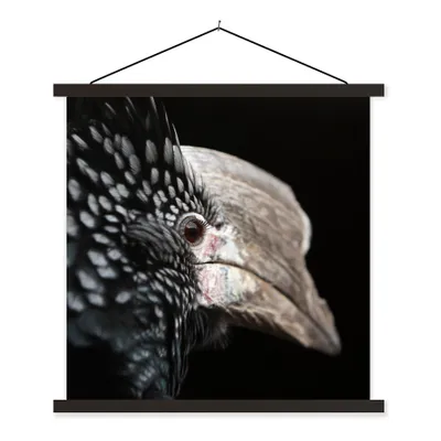 Produktbild von MuchoWow® Textilposter Vogel - Schnabel - Federn 60x60 cm mit schwarzem Rahmen - Posteraufhänger