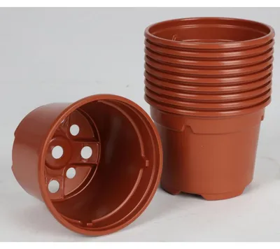 Image de Pots de culture 10 pots de 9cm en terre cuite Pots de semis Fleurs à bouturer