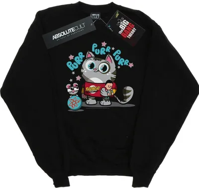 Produktbild von The Big Bang Theory - "Bazinga" Sweatshirt für Herren BI11003 (L) (Schwarz)