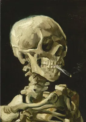 Zdjęcie produktu dla BLUEBIRD Puzzle Skull Smoke Papierosy 1000 sztuk