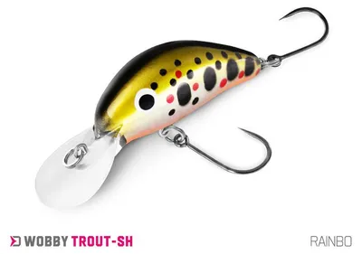 Produktbild von DELPHIN WOBBY TROUT-SH, schwimmender Wobbler, 4cm, RAINBO, 4 g/  4 cm, 1Stk., 101007031