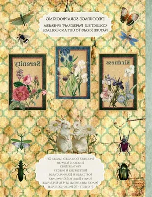 Zdjęcie produktu dla Papier do scrapbookingu w stylu vintage – 8 x 11 cali – wielokolorowy