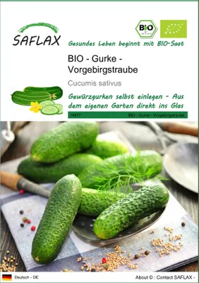 Produktbild von SAFLAX - BIO - Gurke - Vorgebirgstraube - Cucumis sativus - 15 Samen