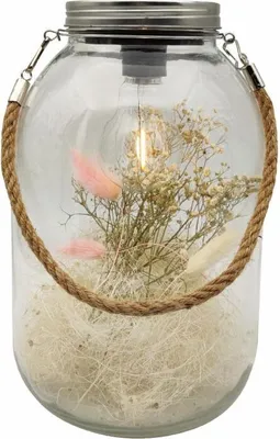 Produktbild von TrendLine Deko Glas LED mit Trockenblumen 16 x 26 cm