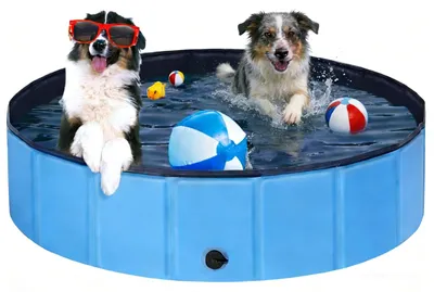 Immagine prodotto di Piscina pieghevole per cani con superficie antiscivolo - Vaschetta per bambini e cani