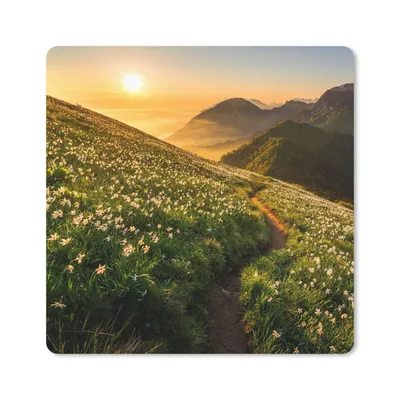 Produktbild von MuchoWow® Mauspad Mousepad Blumen - Sonne - Berge 20x20 cm - Mousepads - Maus Mat - Pad - Mausunterlage - Desk Mat - Bureauartikeln