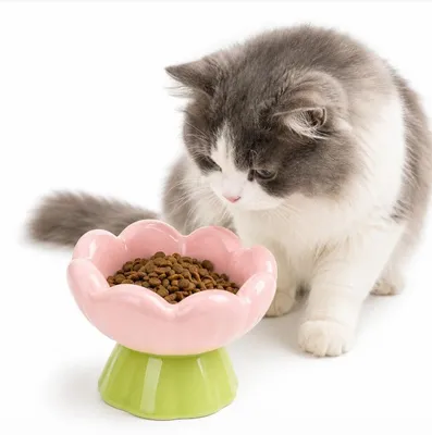 Produktbild von Rosa Keramik-Katzennapf,erhöhter und geneigter Futter-oder Wassernapf,entlastet den Nacken,hilft gegen Rückfluss,spülmaschinen-und mikrowellengeeignet