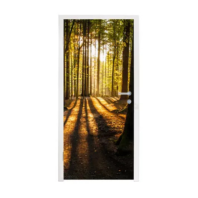 Obrázek produktu pro MuchoWow® Plakát na dveře - Slunce - Stromy - Les - Krajina - Příroda - 205x75 cm - Samolepicí fólie na dveře