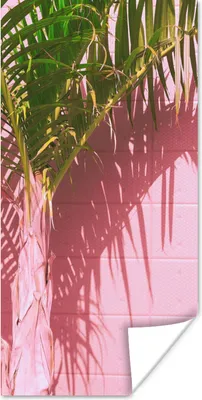 Produktbild von MuchoWow® Poster Pflanze - Sommer - Tropisch - Rosa 20x40 cm - Plakat - Foto
