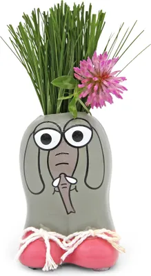 Artikelbild 2 von 'Anzuchtset Munakuppi Elefant' aus der Kategorie Munakuppi