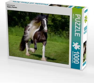 Produktbild von Calvendo Ein Motiv aus dem Kalender Gypsy Horses 1000 Teile Puzzle quer 640x480mm, CALVENDO; 7293159