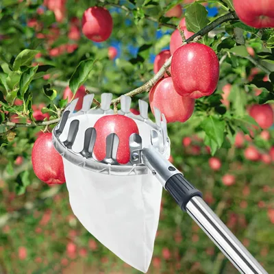 Produktbild von Famanu Fruchtpflücker mit teleskopischem Griff - bis 2,4 Meter