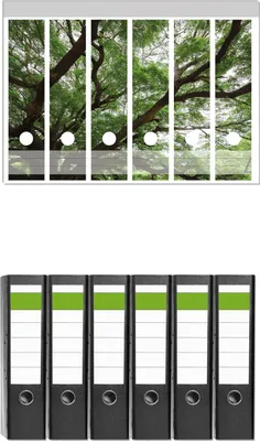 Produktbild von Wallario 6 Stück breite Ordner inkl. Klebeetiketten mit Motive Gigantischer Regenbaum von unten -  Set mit Rückenschildern / Ordnerrücken Stickern