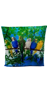 Produktbild von Plüsch Kissen Dekokissen Wellensittiche Papagei 35 cm