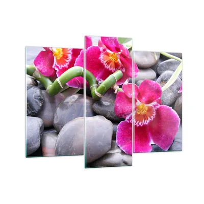 Produktbild von Bilder auf glas - Asiatisch bambus orchidee steine - 130x100cm - Glasbilder - Wandbilder - Kunstdruck - Wanddekoration aus Glas - Glas Bilder - Wandbild auf Glas - GCB130x100-0465