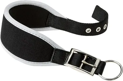 Image de Collier Ferplast Ergocomfort Cw25 46 Gris