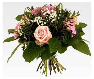 Produktbild von Blumenstrauß Herzensmensch – Frischer Strauß mit Rosen, Astern und Schleierkraut – Ideal für Geburtstagsüberraschungen, Valentinstag oder besondere Anlässe – Blumenversand