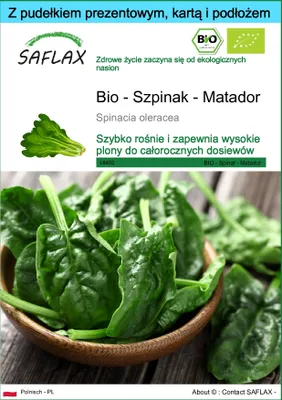Zdjęcie produktu dla SAFLAX - Zestaw prezentowy - Bio - Szpinak - Matador - 300 Nasiona - Z pudełkiem upominkowym, etykietą wysyłkową, kartą podarunkową i podłożem uprawowym - Spinacia oleracea