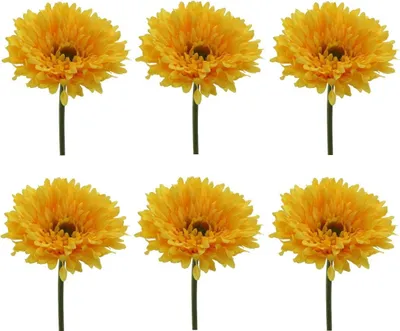 Produktbild von 6er Set künstliche Gerbera gelb H. 60cm mit fülliger Blüte D. 10cm GASPER