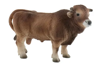Produktbild von BULLYLAND 62624, Braun, 1 Stück(e)