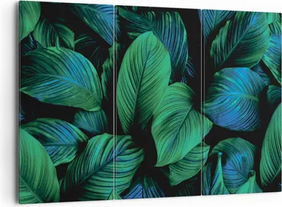 Produktbild von Bild auf Leinwand - Leinwandbild - 3 Teile - Blätter Pflanzen Exotik - 165x110cm - Wand Bild - Wanddeko - Wandbilder - Leinwanddruck - Bilder - Wanddekoration - Leinwand bilder - CE165x110-5066