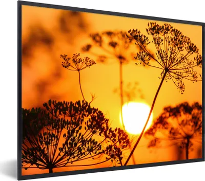 Produktbild von MuchoWow® Gerahmtes Poster Pflanzen - Blumen - Sonnenuntergang - Orange 40x30 cm - Poster mit Schwarzem Bilderrahmen Wandposter Rahmen Foto Bilder - Kunstposter - Wanddekorationen