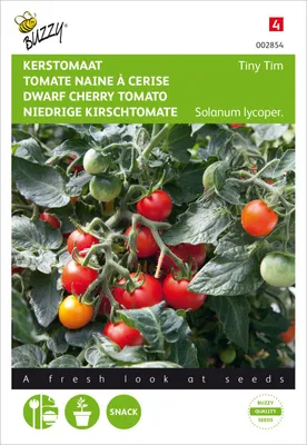 Produktbild von Niedrige Kirschtomate Tiny Tim | Kirschtomatensamen von Buzzy Seeds