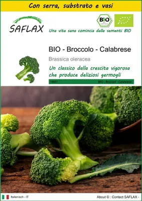 Immagine prodotto di SAFLAX Insieme di coltivazione -- Broccolo - Calabrese - 100 semi - Brassica