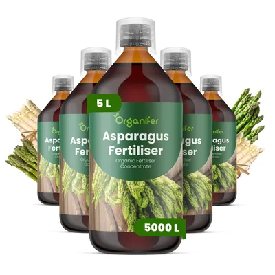 Produktbild von Spargel Flüssigdünger 5x1L – 2-1-8 NPK – Flüssigdünger Für Gemüse & Pflanzen – Für Kräftige Stangen & Wurzeln – Organifer