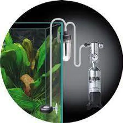 Obrázok produktu pre Kit Co
2 Pretlakované Mini