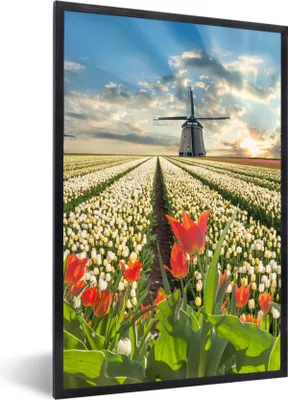 Produktbild von MuchoWow® Gerahmtes Poster Windmühle - Tulpen - Himmel - Natur 20x30 cm - Poster mit Schwarzem Bilderrahmen Wandposter Rahmen Foto Bilder - Drucken - Bilder Poster im Rahmen