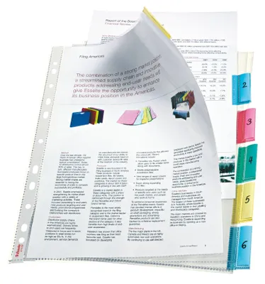 Image de Pochettes d'indexation Esselte, transparentes, polypropylène (PP), 0,09 mm, 24,7 mm, 30,7 mm
