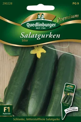 Produktbild von Gewächshausgurke 'Silor' Quedlinburger Gemüsesamen
