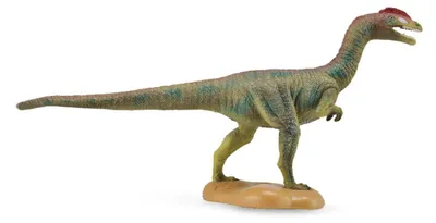 Imagen del producto de Figura de dinosaurio Liliensternus, pintada a mano, aproximadamente 15 cm, ideal para fines educativos