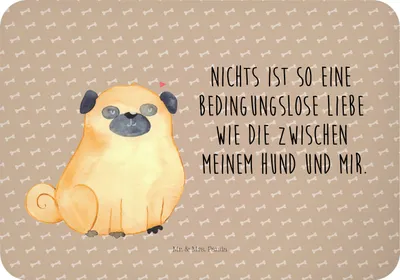 Produktbild von Mr. & Mrs. Panda magnet Mops - Hundeglück - Geschenk, Sprüche, küchenmagnet, haftmagnet, whiteboardmagnet, Hund, Pure Liebe, Knuffig, spruchmagnet, Kühlschrankmagnet